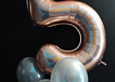 balony z helem poznań plewiska skórzewo dopiewo przeźmierowo komorniki (40)