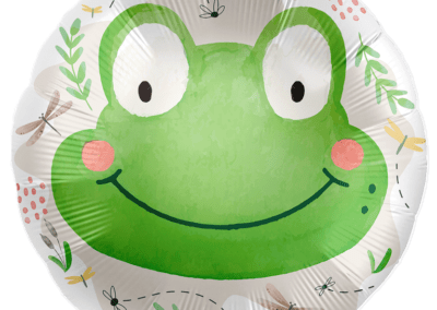 Balon Żabka z Ważkami 25 zł z helem