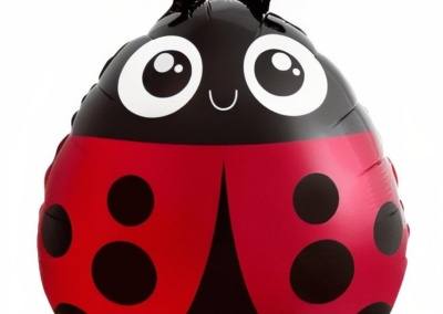Balon Biedronka 26 zł z helem