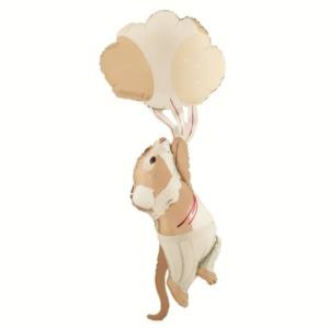 baloniarnia balony z helem poznań skórzewo dopiewo plewiska komorniki luboń przeźmierowo tarnowo podgórne