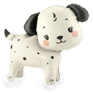 baloniarnia balony z helem poznań skórzewo dopiewo plewiska komorniki luboń przeźmierowo tarnowo podgórne