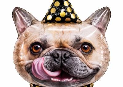 Balon Głowa Pieska Urodzinowa 25 zł z helem